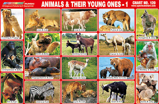 Animals & Their Young Ones Chart contains 18 pairs of Adult & Child Animals