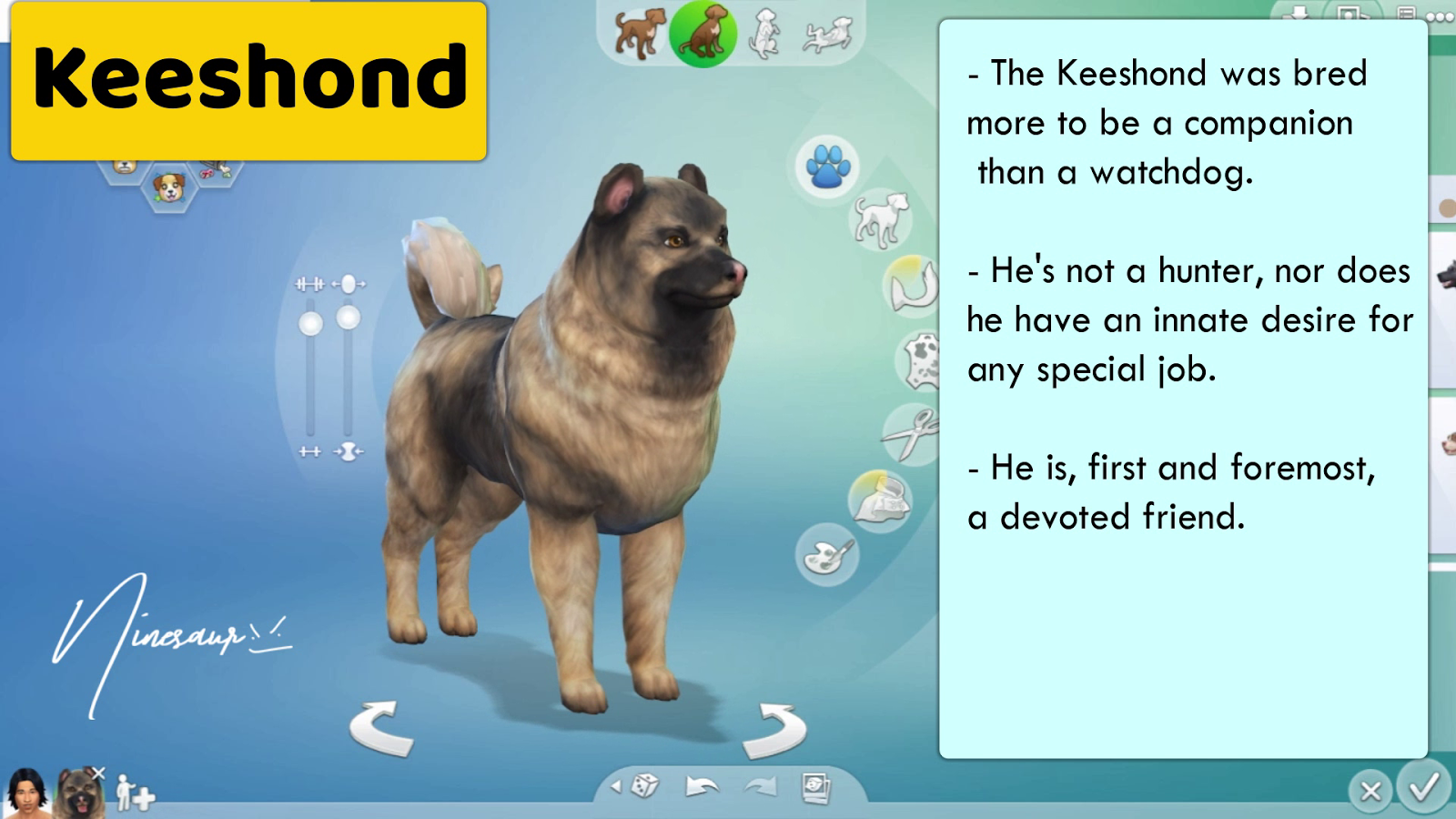 NINESAUR 72 LARGE DOG BREEDS SIMS 4