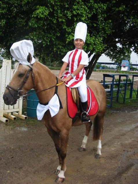 carnival costumes for animals