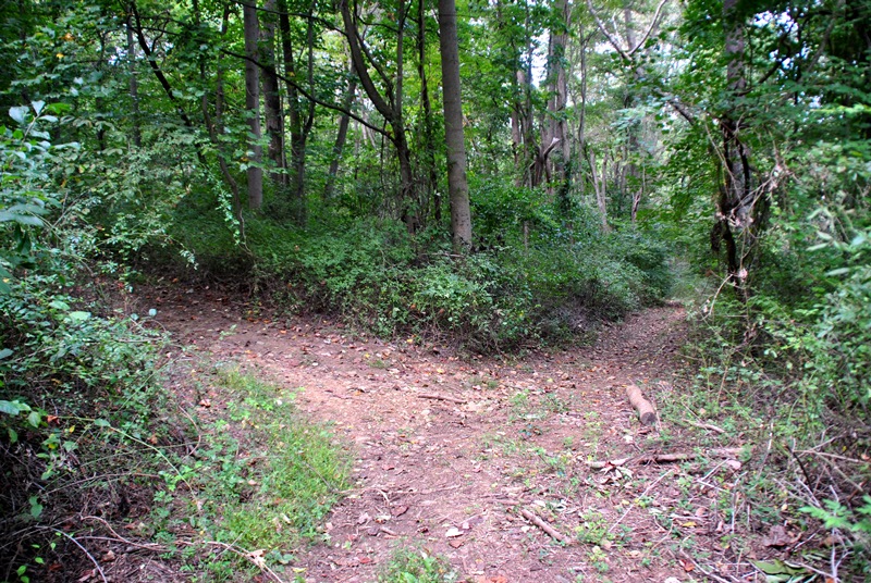 Southeastern PA Hiking Hibernia County Park