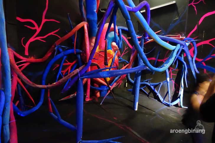 human body adventures