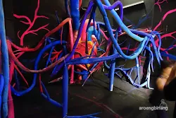 human body adventures