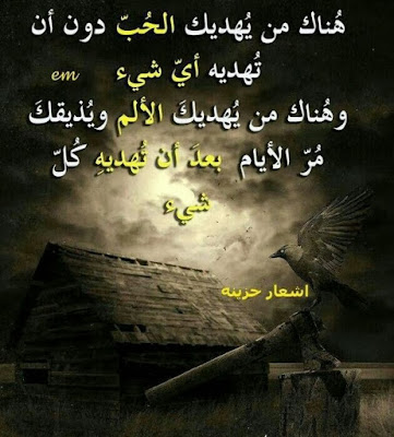 51785769ad853150a22c377fda728154.jpg