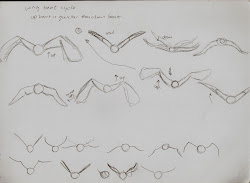 cycle flight sketches motion animals 3d reference