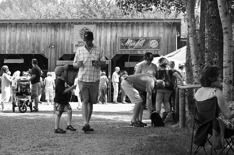 make happy 196/366 trout lake art festival