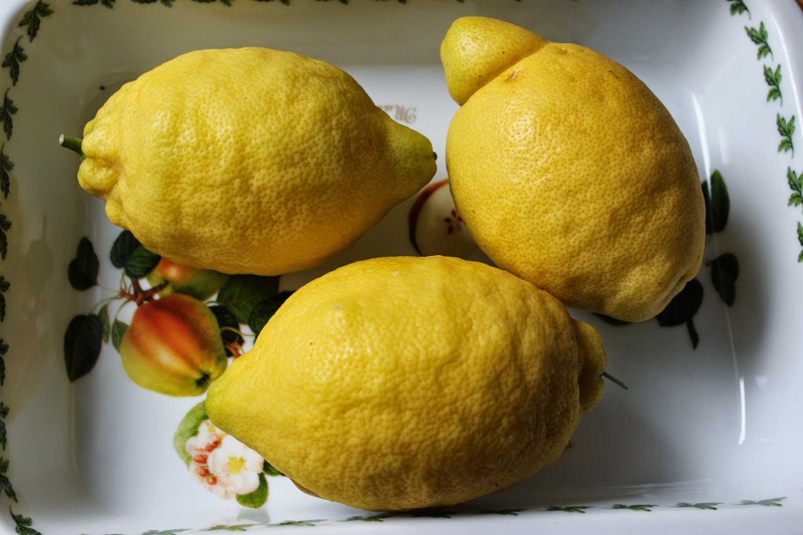 Nesrin&amp;#39;s Küche: Limon Turşusu / Eingelegte Zitrone