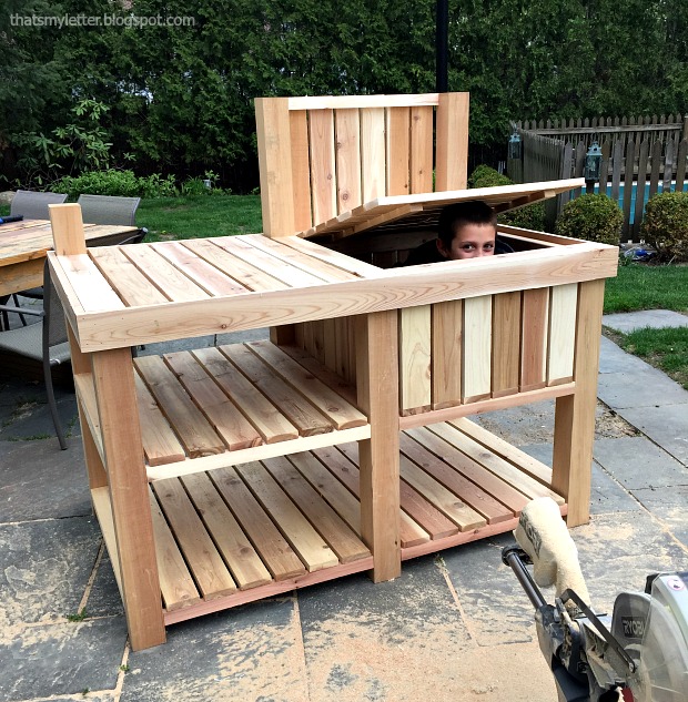 That's My Letter Outdoor Bar / Potting Bench