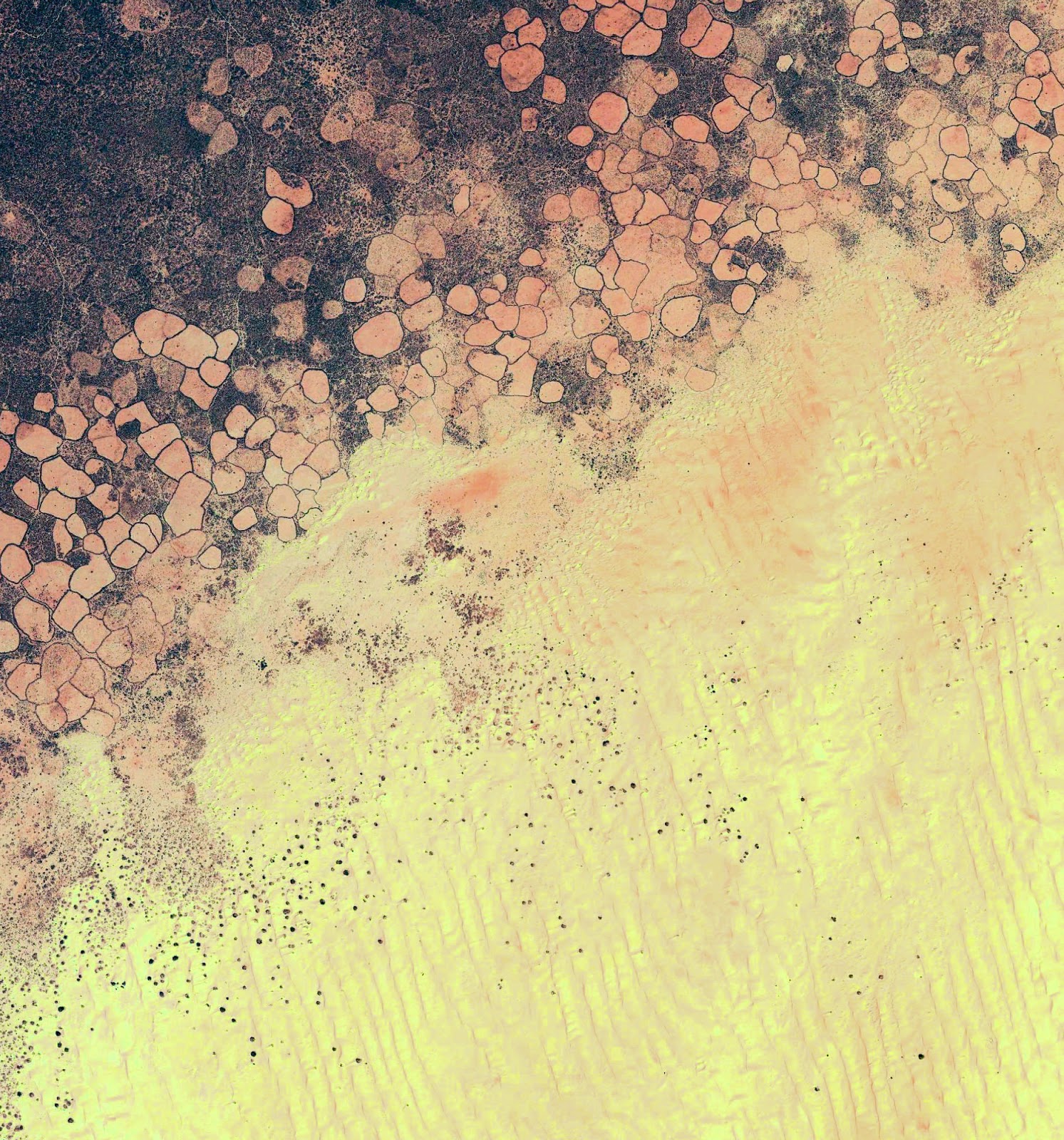 wallpaper lollipop wallpaper lollipop