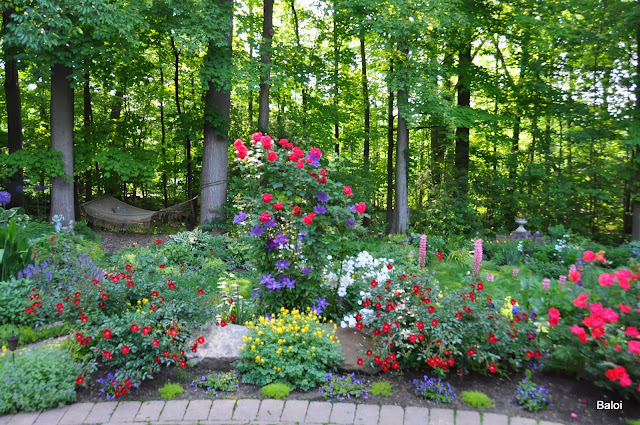 Gardeners with kids: December 2013