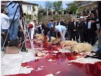 LOS ANIMALISTAS DESAPARECIDOS
