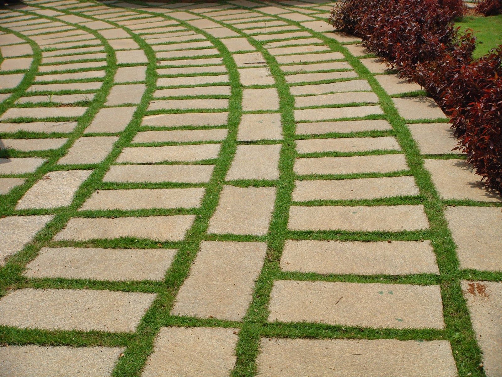 RainManSpeaks from Bangalore: Enjoy your WALK on a footpath which also ...