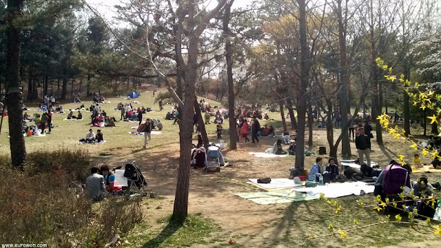 Coreanos acampados en el Gran Parque de los Niños de Seúl