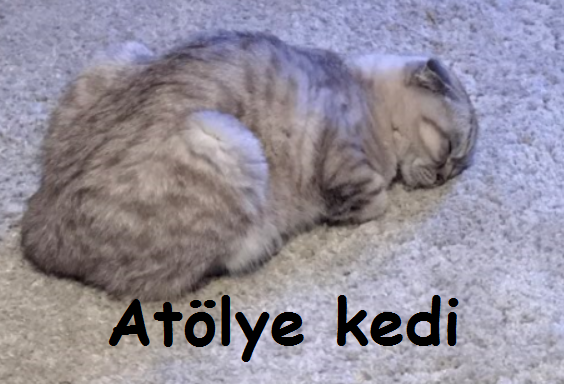 kahve uykumu getiriyor