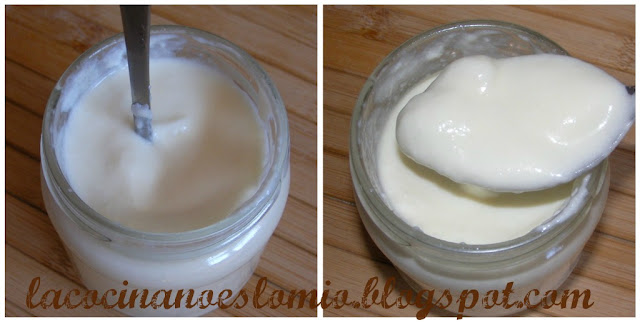 Yogur+de+coco.jpg