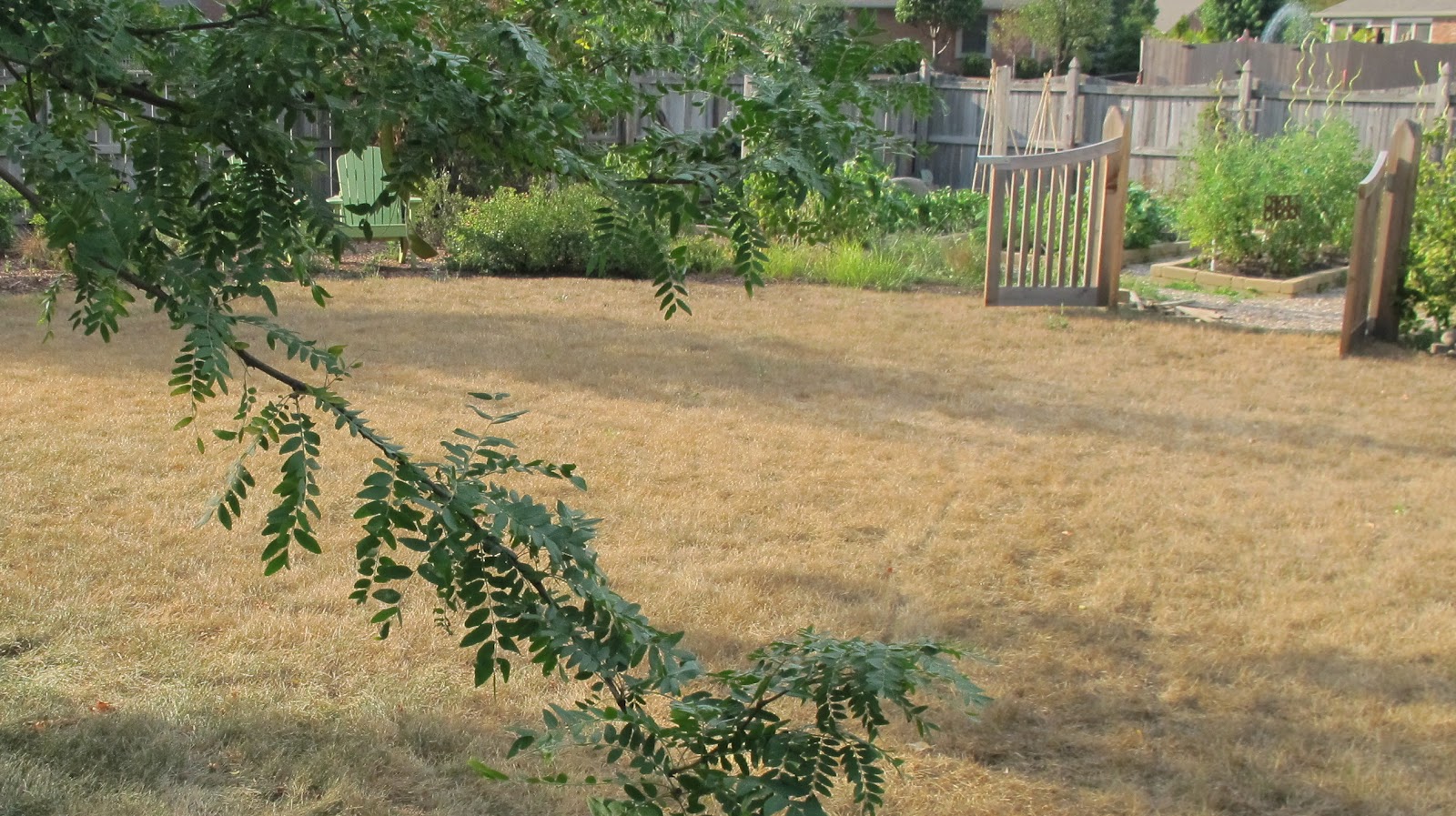 Gardener's Guide to Drought Recovery Intro