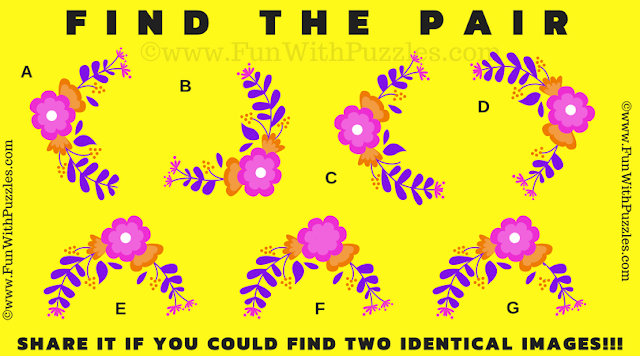 Visual Puzzle Challenge: Find the Matching Pairs!