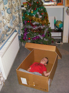 boy in large cardboard box cardboard box den for kids