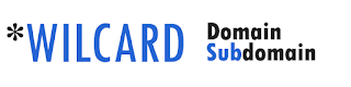 wildcard domain wildcard domain