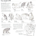 Filem Jungle Book 2016 terbitan Disney