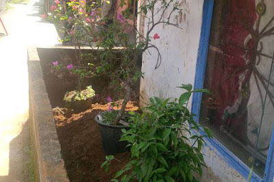 Ya Cacam !!!, Pria Ini Pindahkan Makam-Jenazah Istri Tercinta dari TPU ke Depan Rumah pria ini pindahkan makam istri dari tpu ke depan rumah RVP