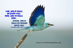 quotes bird flight flying