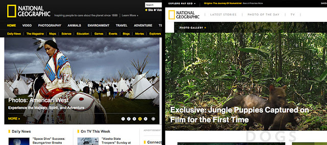National Geographic website