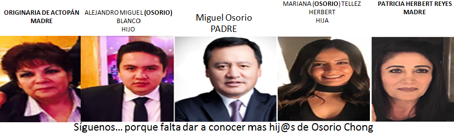 Los Hijos de Miguel A. Osorio Chong