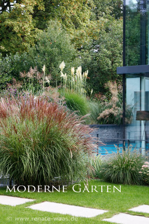 Bepflanzung moderne Gärten mit Betonplatten und Pool