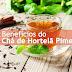 22 grandes benefícios do chá de hortelã pimenta para a pele, o cabelo e a saúde