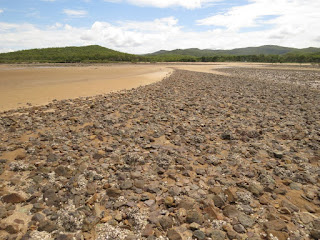 Cobble shoal at Clairview, Central Queensland