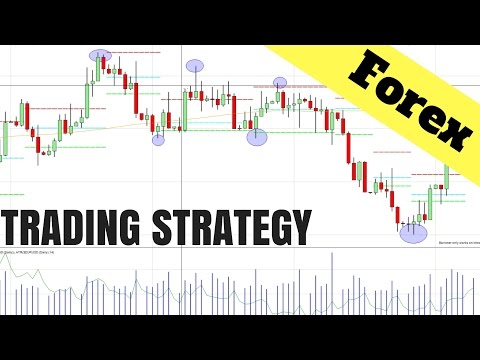 8000 trading plan forex