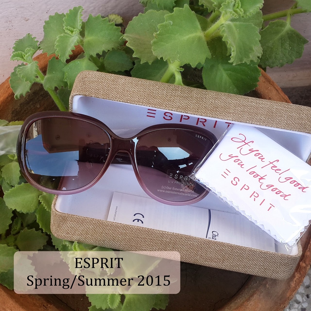 Esprit Eyewear - Spring/Summer 2015, et19427