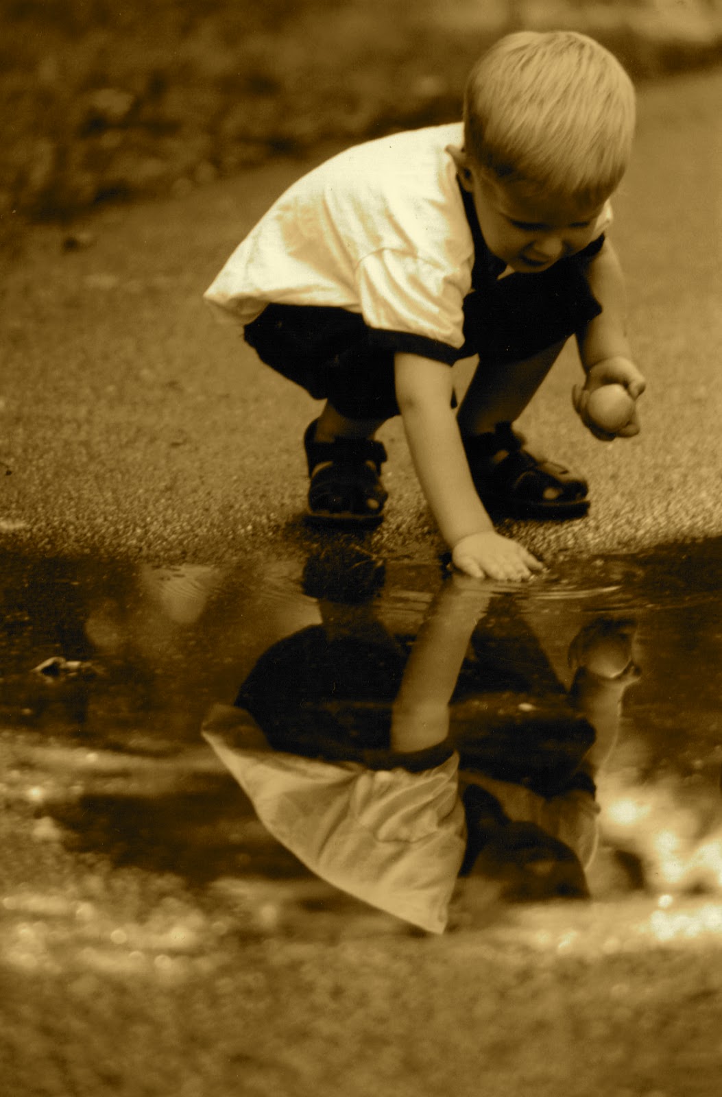 Life...or a reasonable facsimile thereof: The Wonder of It All