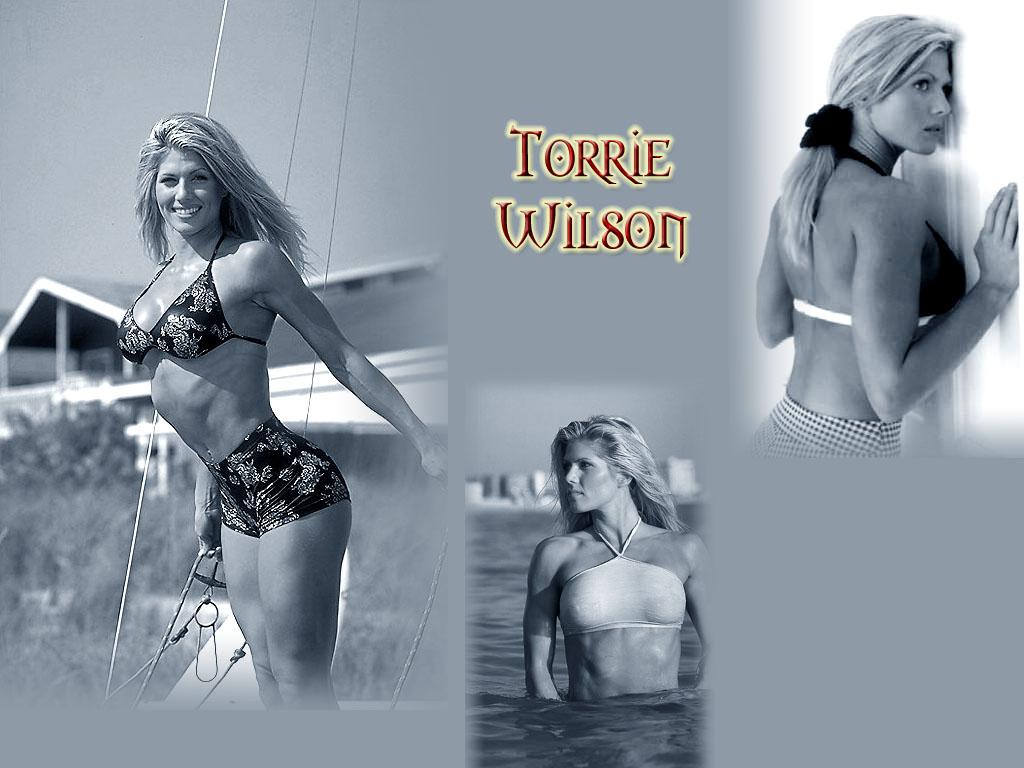 http://4.bp.blogspot.com/-fOiuzgobILQ/Ta9ceJEbSzI/AAAAAAAAAEc/7rXKOfoZeXI/s1600/Pics-of-Torrie-Wilson.jpg