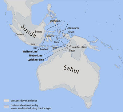 Pembentukan Kepulauan dan Pulau-Pulau Besar di Indonesia ...