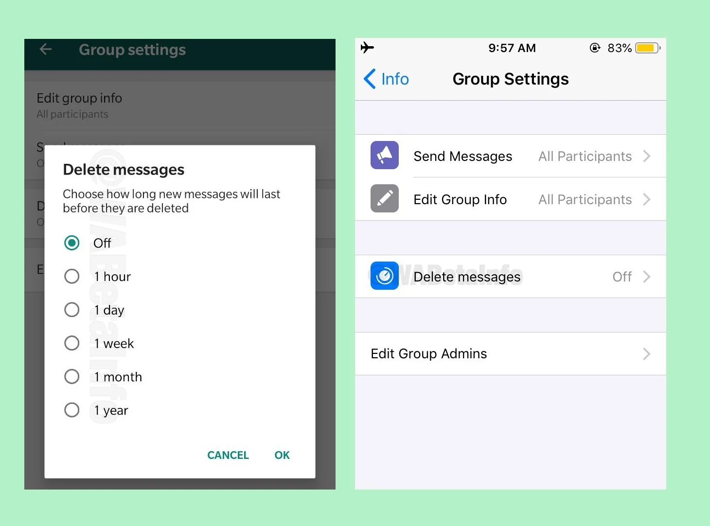 Correct interpretation of Whatsapp's auto-delete messages feature in groups