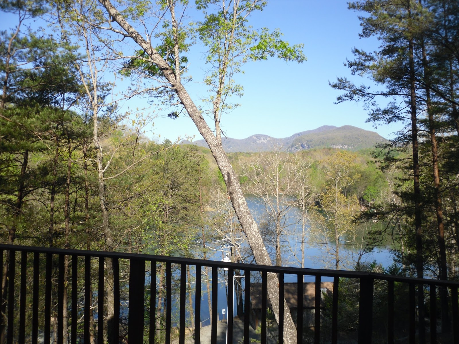 Hocking Hills Cabin Reviews and MORE ASHEVILLE NORTH CAROLINA CABIN