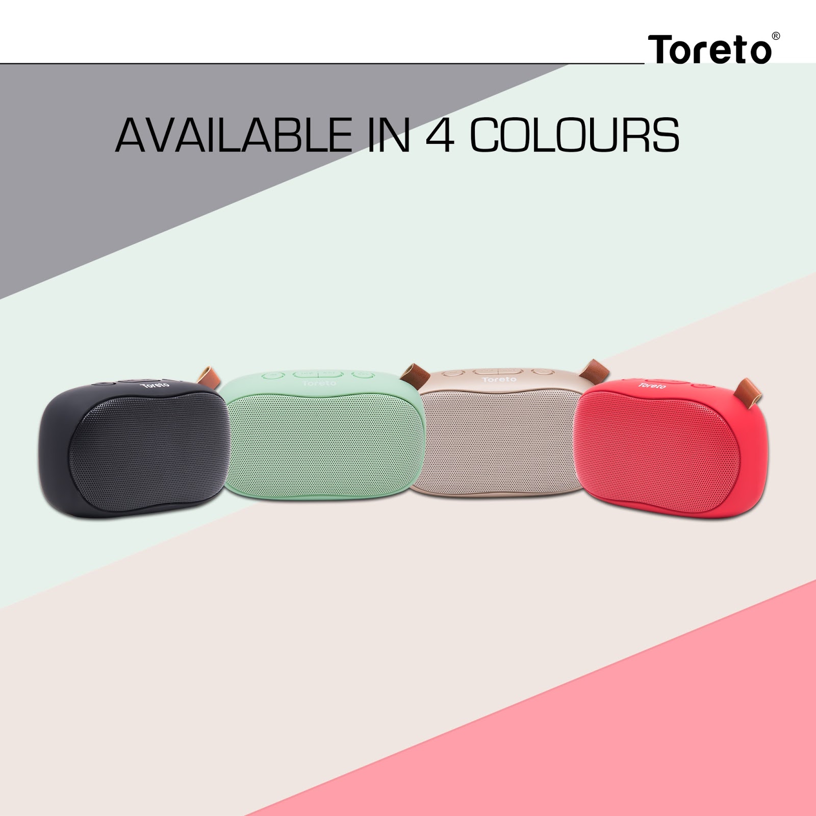 toreto bang tor 307 price