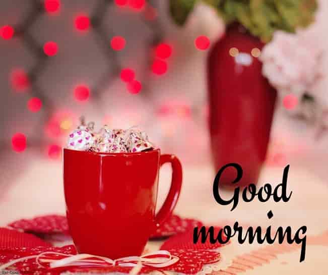 good-morning good morning