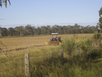 eight acres: making hay