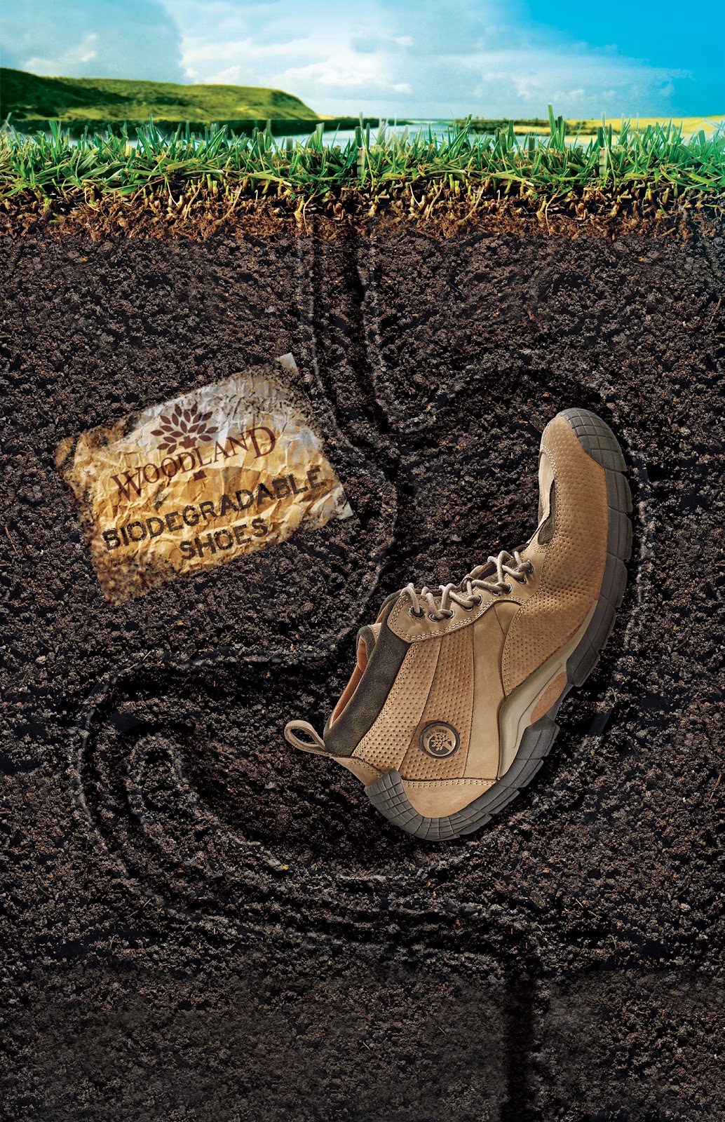 The Woodlands Shoe Stores The Woodlands Shoe Stores