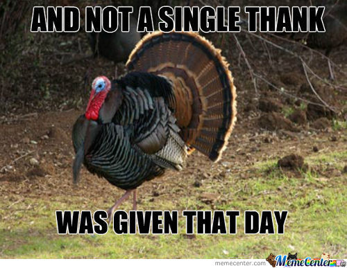 Happy Thanksgiving Memes Funny Happy Thanksgiving Memes Funny