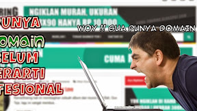 Tidak Semua Blog Ber-Domain Profesional