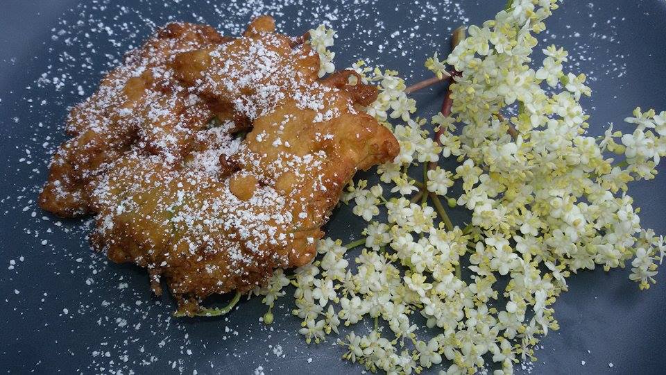 Ollis Grillabenteuer: Holunderblüten im Bierteig Ollis Grillabenteuer: Holunderblüten im Bierteig