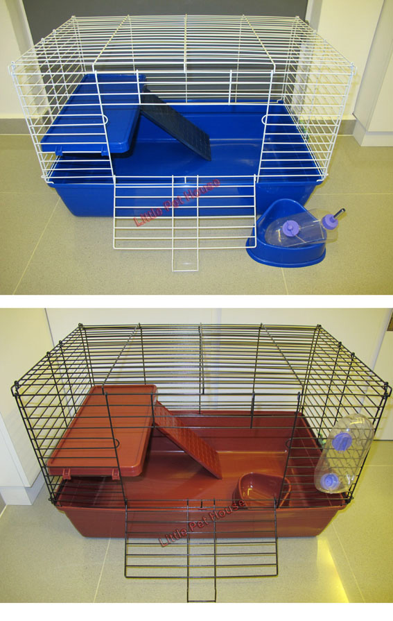 Little Pet House Your Budget Friendly Online Pet Shop in Singapore