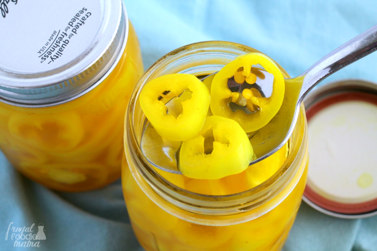 Pickled Banana Pepper Rings Refrigerator Pickled Banana Pepper Rings Refrigerator