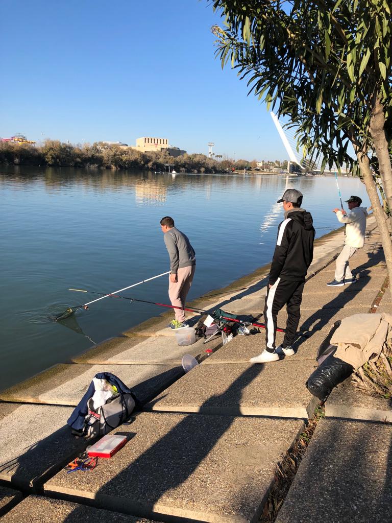 CURSO DE OBTENCIÓN DE LICENCIA DE PESCA CONTINENTAL EN ANDALUCÍA En