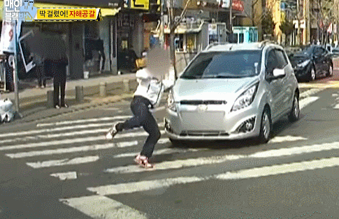 도로위의 자해공갈.gif | 인스티즈