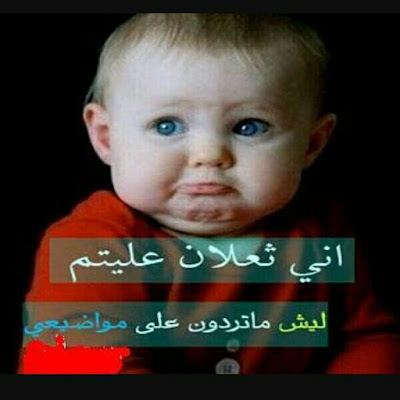 اجمل الصور المضحكة المكتوب عليها اجمل الصور المضحكة المكتوب عليها
