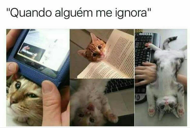 Memes engraçados Memes engraçados